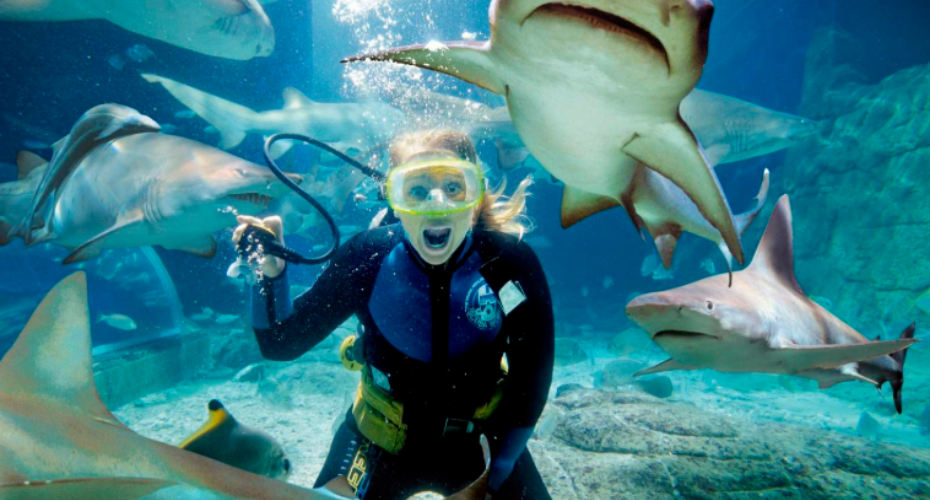 202512131312-1274716583.png 屏幕截图 2025-12-13 130909.png