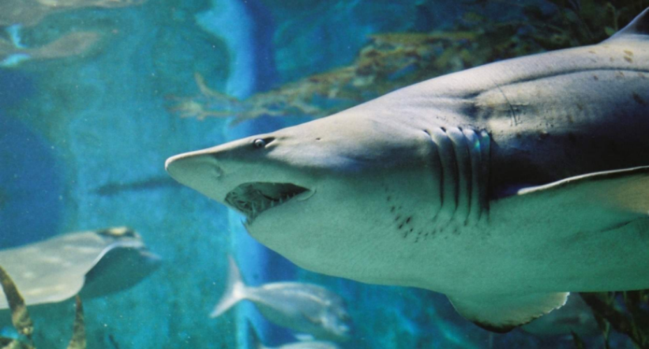 202512131312-6435971343.png 屏幕截图 2025-12-13 130920.png