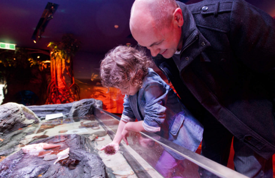 202512131325-4371721216.png 屏幕截图 2025-12-13 132220.png