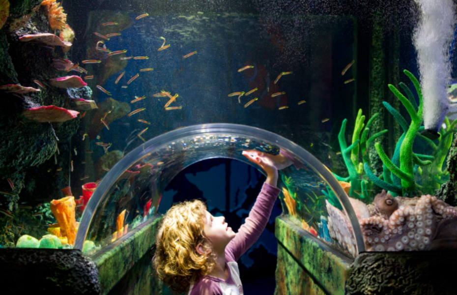 202512131325-5094315997.png 屏幕截图 2025-12-13 132212.png