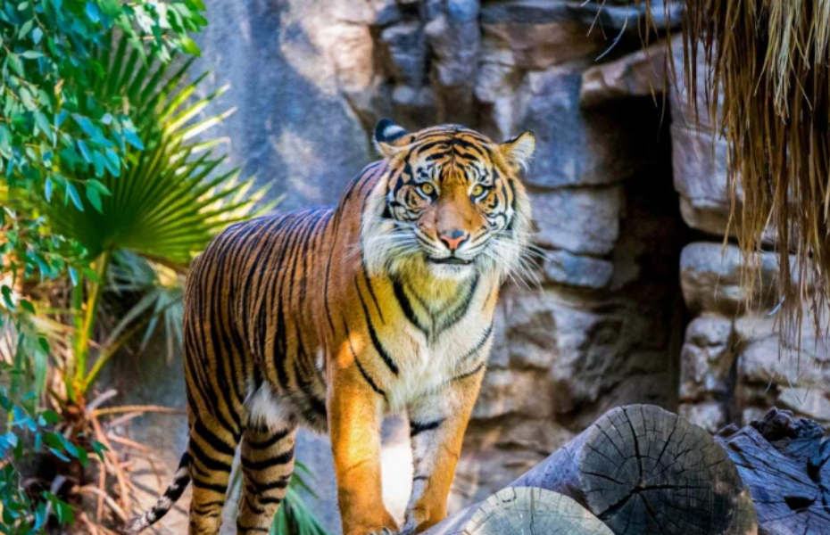 202512131340-2406971824.png 屏幕截图 2025-12-13 133850.png