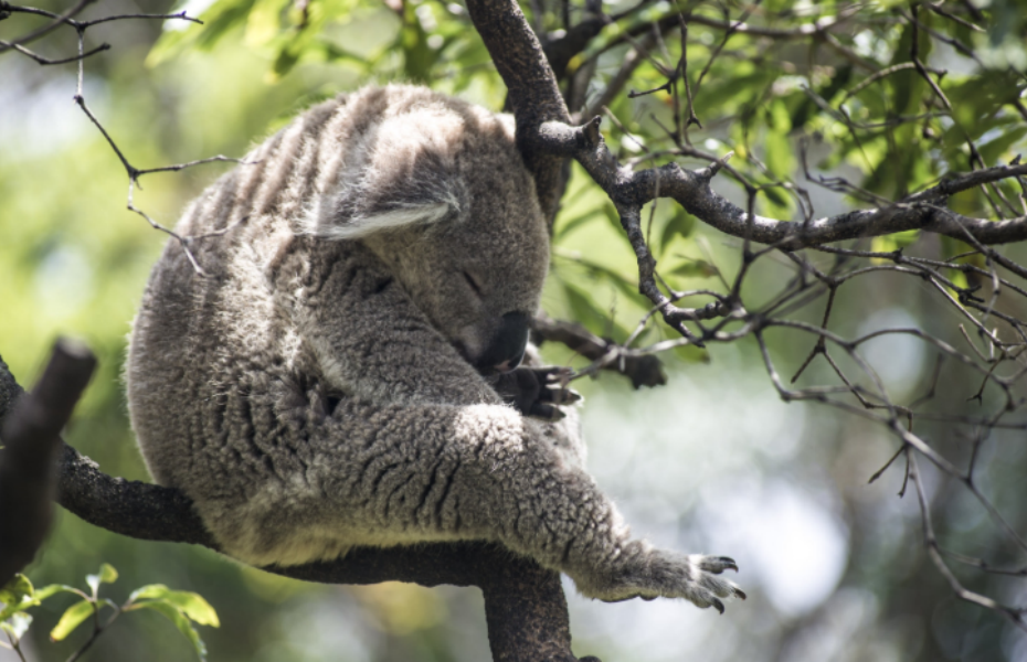 202512131341-5657535570.png 屏幕截图 2025-12-13 133905.png