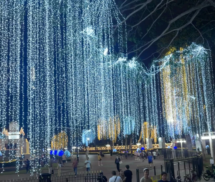 202512131611-8933466344.png image.png