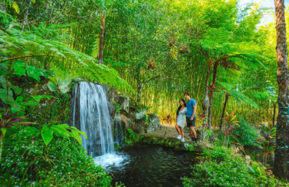 202512131656-9514433437.png 屏幕截图 2025-12-13 165314.png