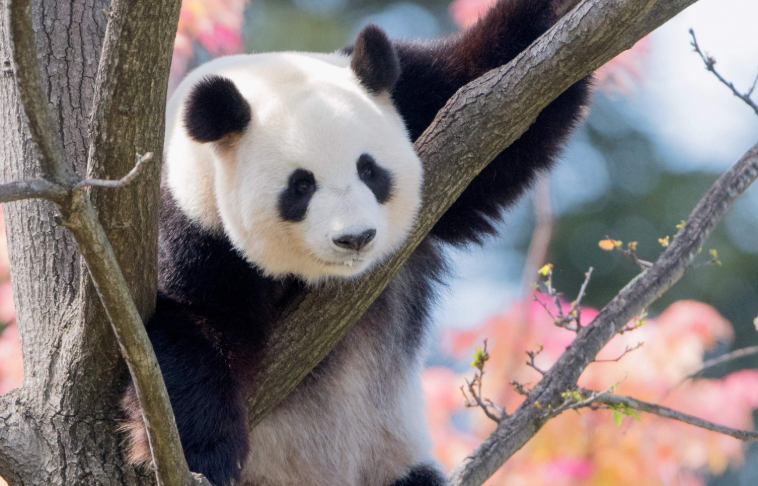 202512150924-7908457336.png image.png