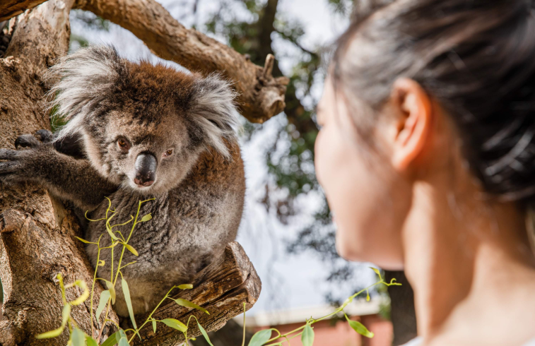 202512150925-4132438127.png image.png