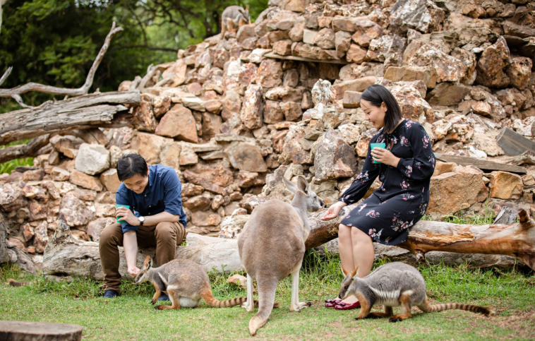 202512150925-4614519900.png image.png