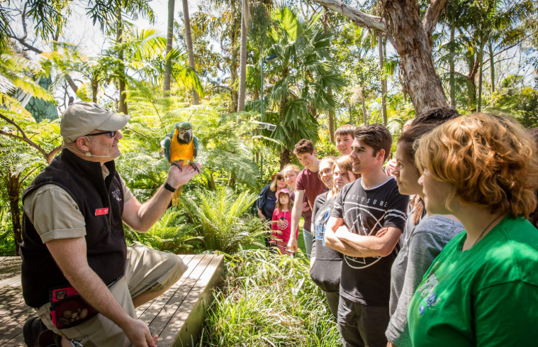 202512150926-2849321294.png image.png