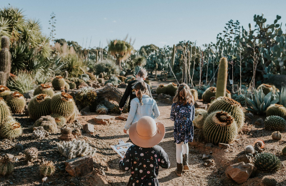 202512150936-4745691524.png image.png