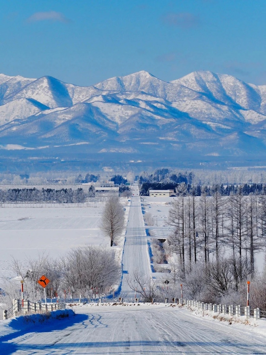 202512150937-5505090082.jpg 去北海道吧,那里的雪会让你爱上冬天❄️_1_Vipppli_来自小红书网页版.jpg