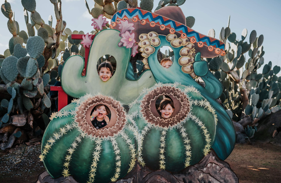 202512150937-6883826715.png image.png