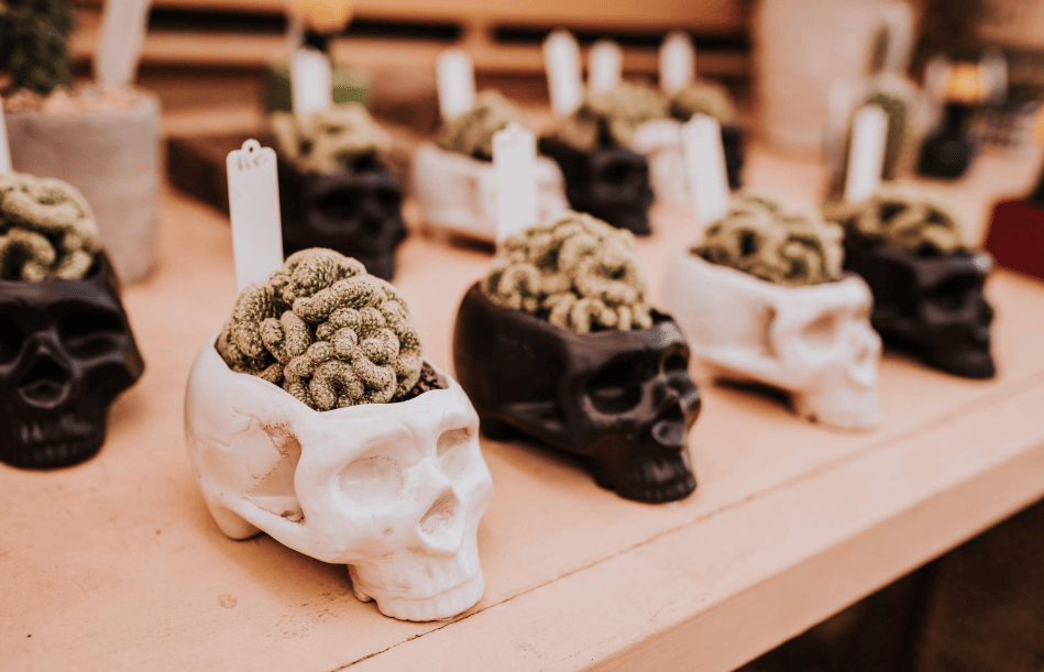 202512150939-1129684115.png image.png