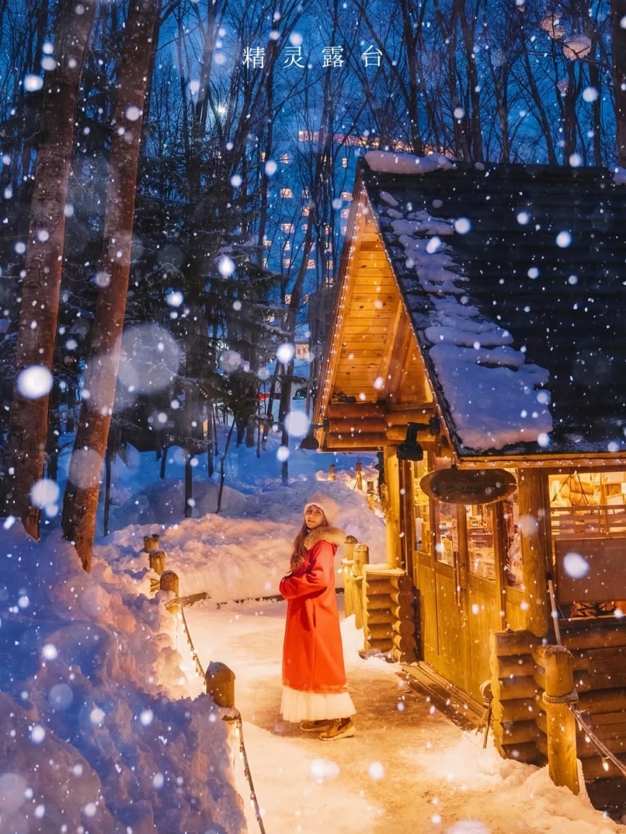 202512150940-5460586011.jpg 北海道丨这个冬天,一定要去精灵露台☃️_1_嗨玩日本·全境包车_来自小红书网页版.jpg