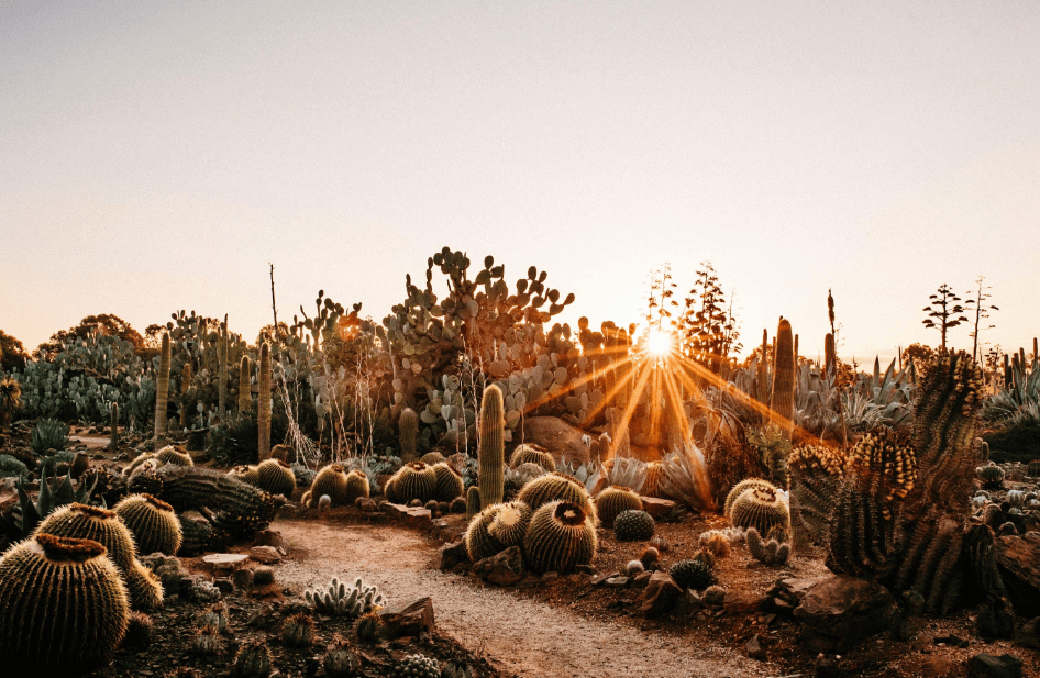 202512150940-7480390244.png image.png