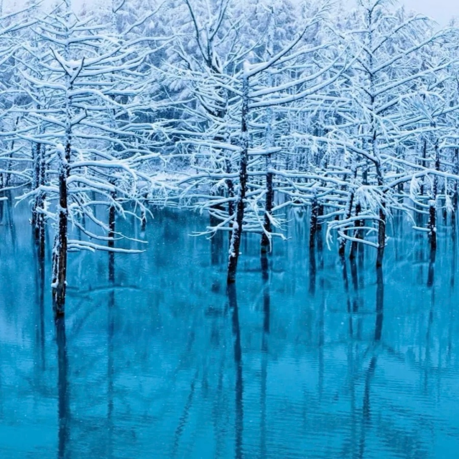 202512150942-4107275485.jpg 北海道12_31—1_3吐槽点_1_炸毛小孩儿_来自小红书网页版.jpg