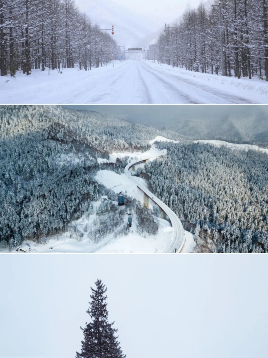 去北海道吧，那里的雪会让你爱上冬天❄️_5_Vipppli_来自小红书网页版.jpg