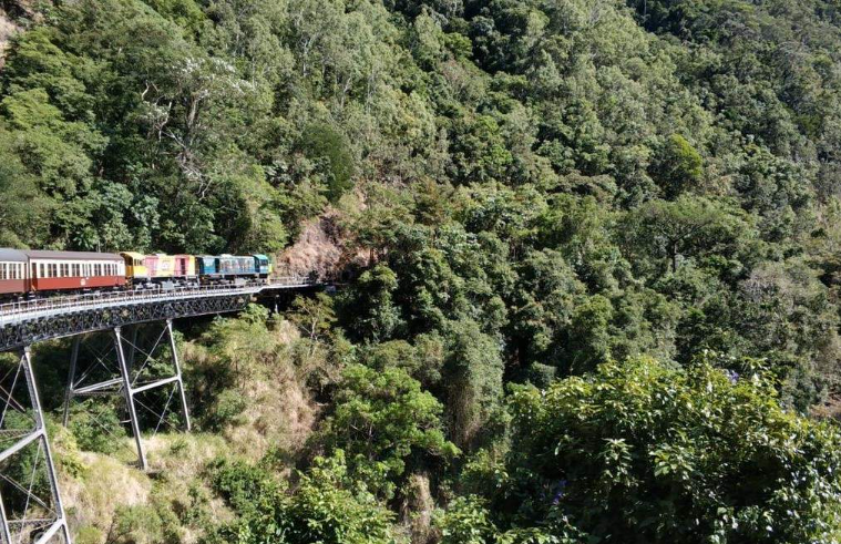 202512151013-1987647367.png image.png