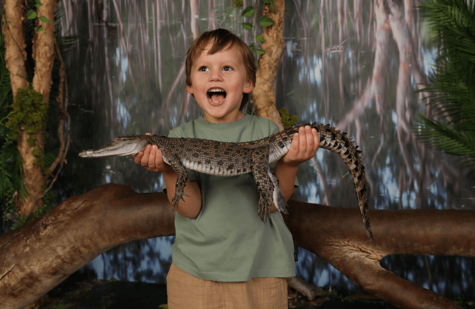 202512151015-3100685710.png image.png