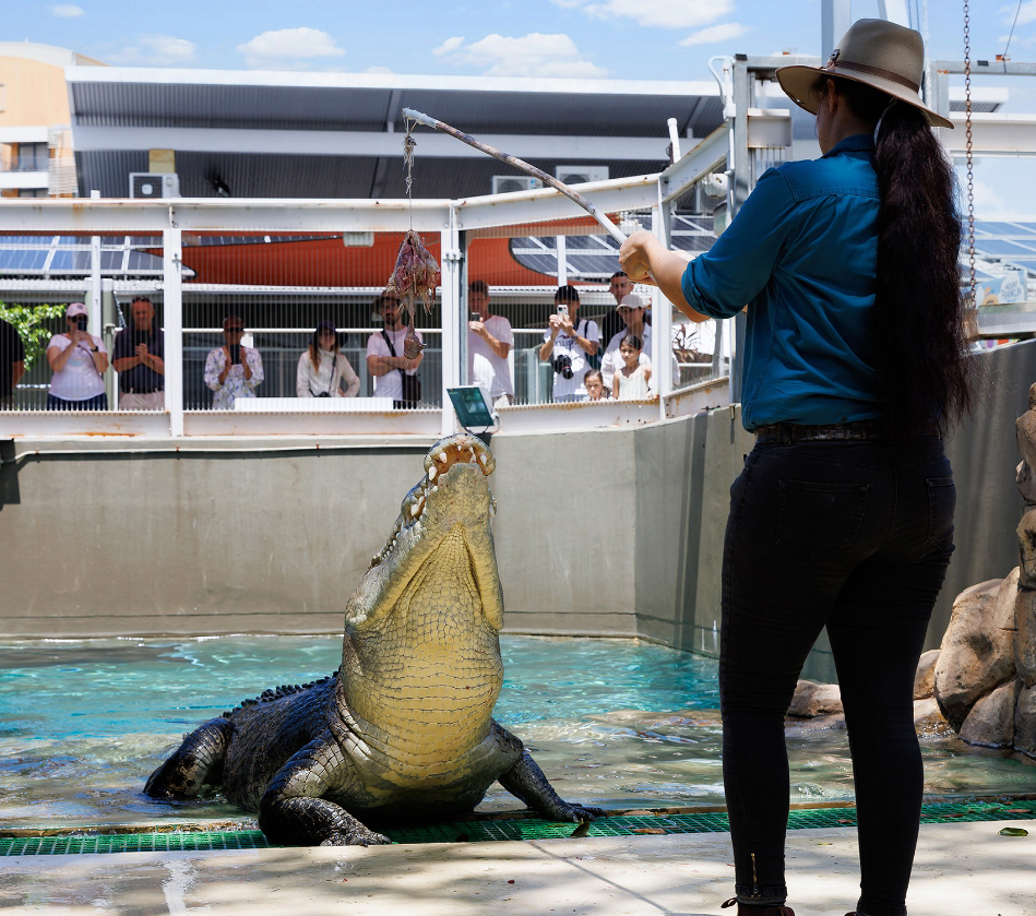 202512151015-6971210983.png image.png