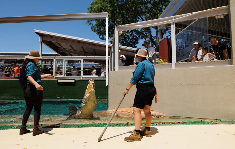 202512151016-3523427701.png image.png