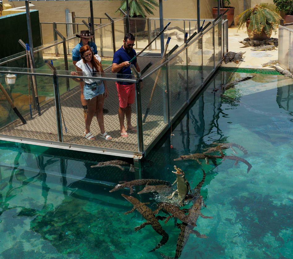 202512151016-3882589946.png image.png