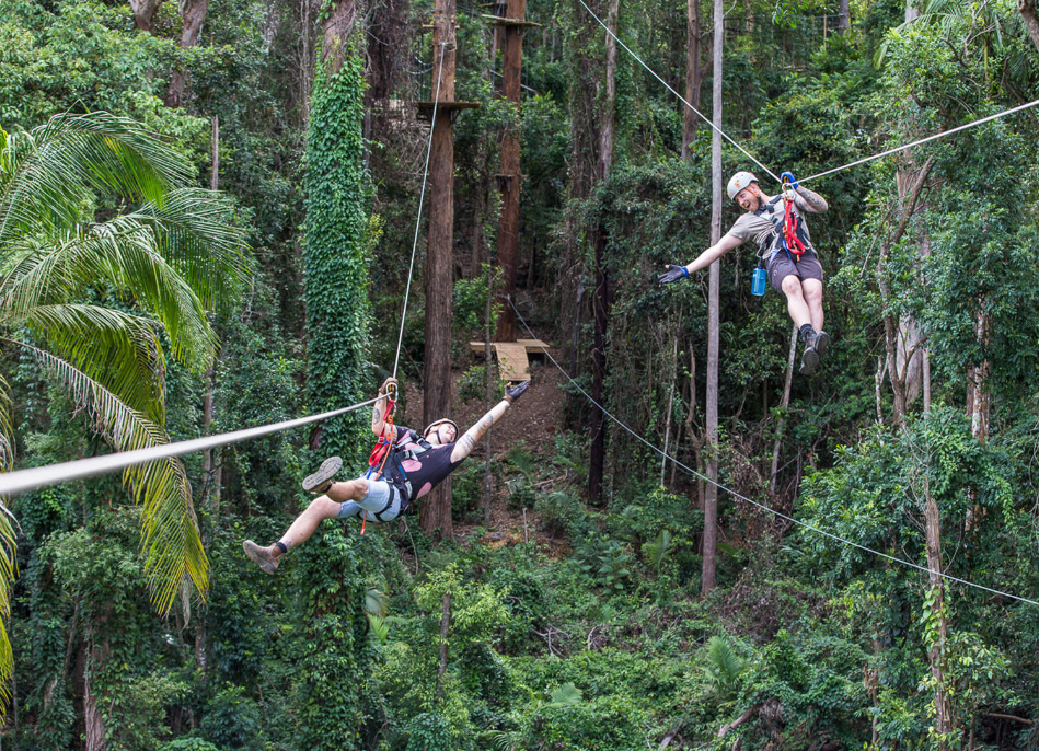 202512151045-6529329804.png image.png