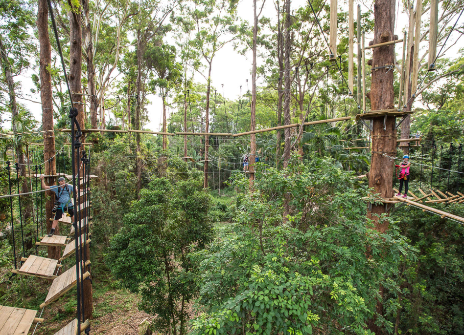 202512151046-3224475592.png image.png