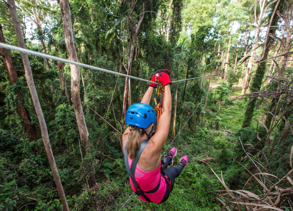 202512151047-7513971854.png image.png