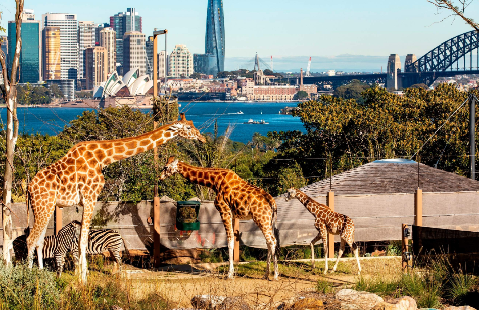 202512151106-5945075411.png image.png