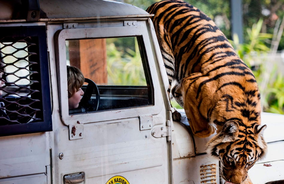 202512151106-6423738335.png image.png