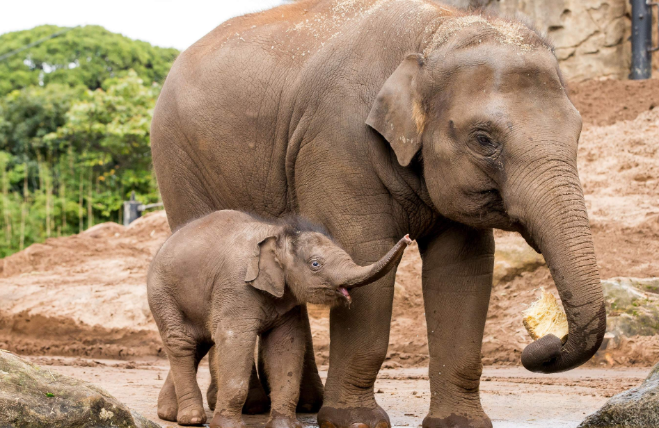 202512151107-7773803935.png image.png