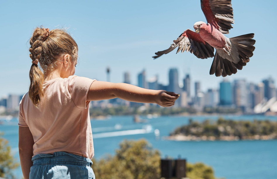 202512151108-2146056369.png image.png