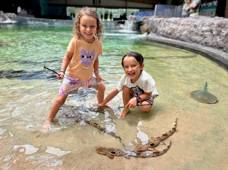 202512151110-4603984635.png image.png