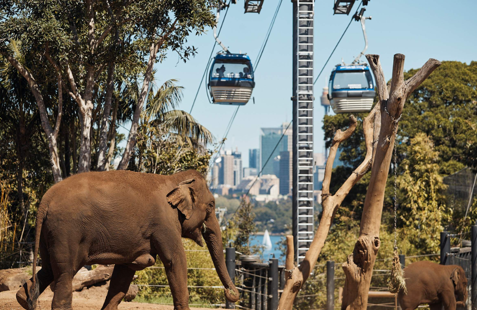 202512151110-9448156254.png image.png