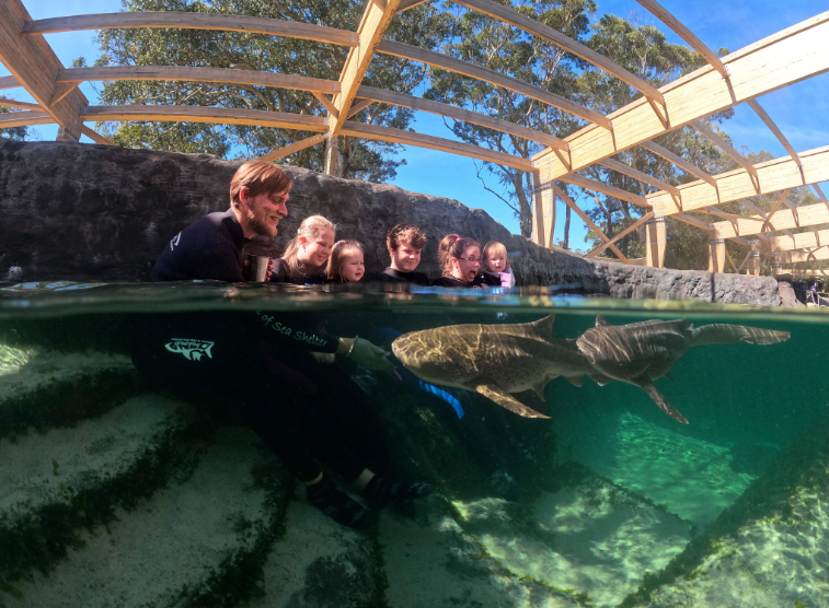 202512151113-7483069612.png image.png