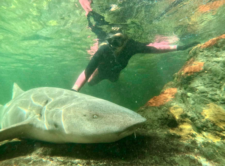 202512151113-7540930773.png image.png