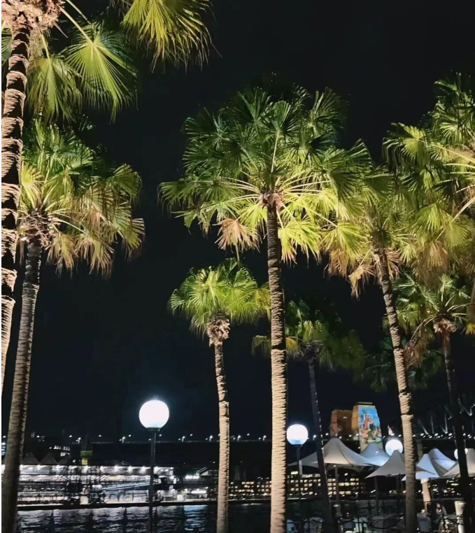 202512151130-4753961789.png image.png