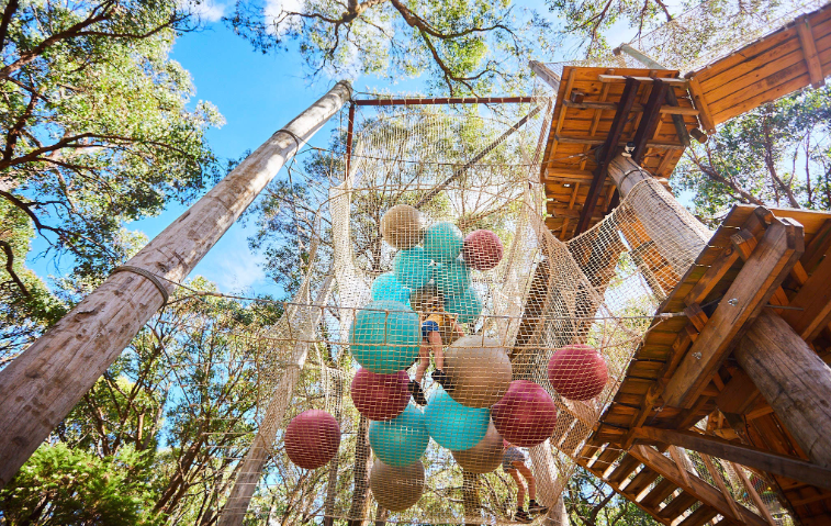 202512151134-9867155341.png image.png