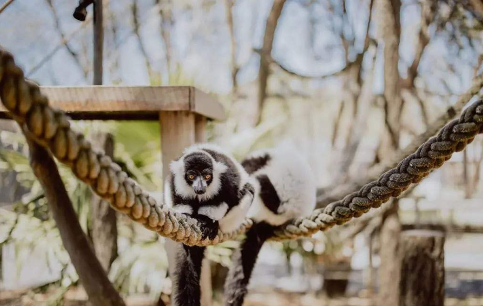 202512151140-6307281597.png image.png