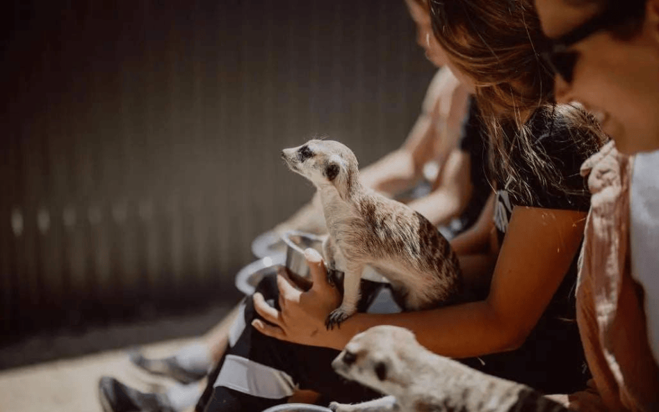 202512151141-7974694218.png image.png