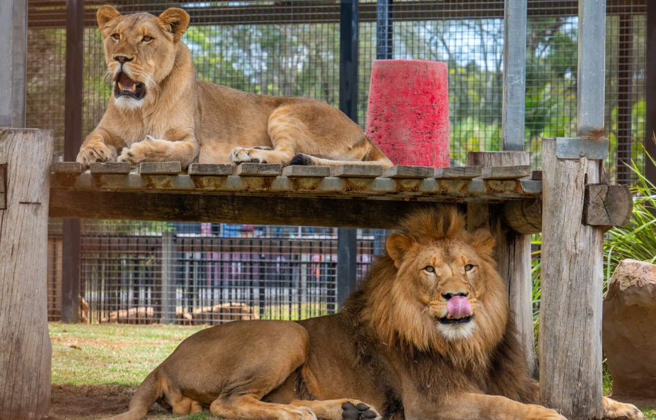 202512151142-6670341996.png image.png