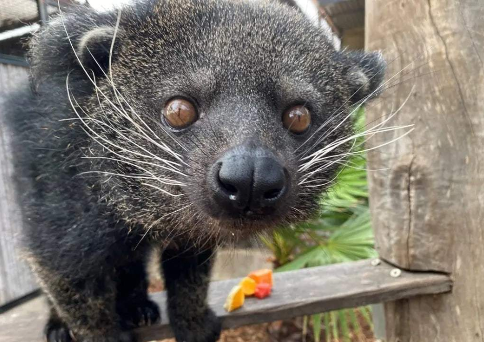 202512151142-7693847200.png image.png