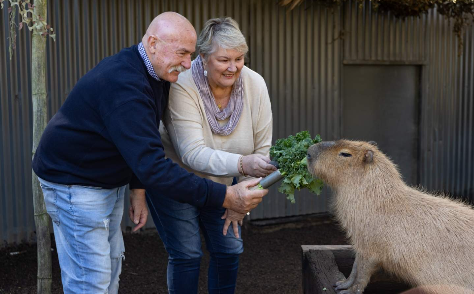 202512151142-9452771357.png image.png