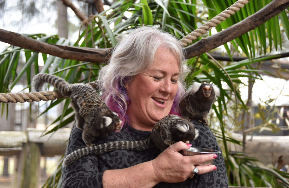 202512151143-6734932169.png image.png