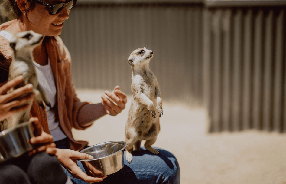 202512151143-7254300022.png image.png