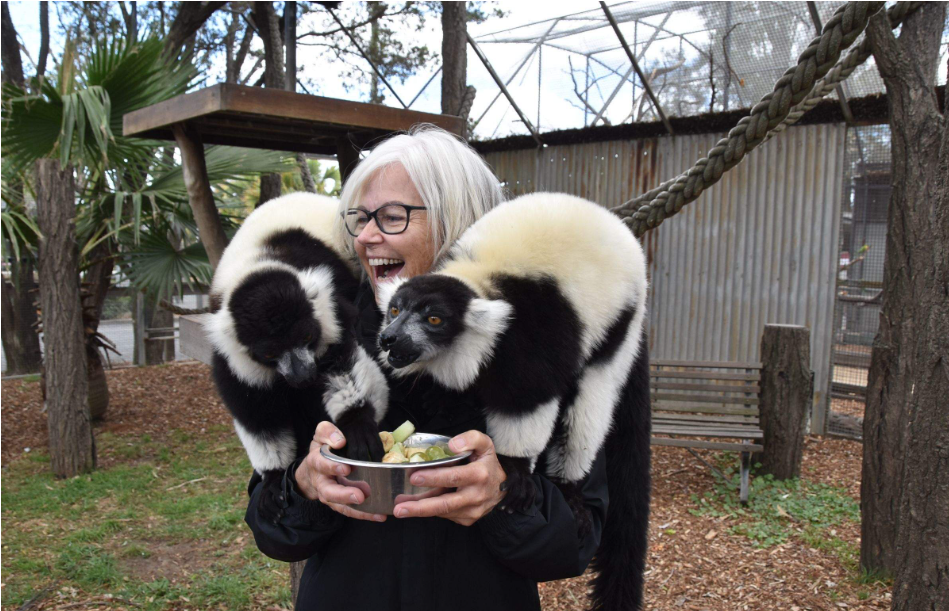 202512151144-7050732766.png image.png