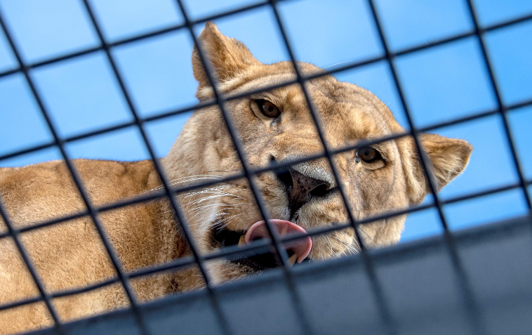 202512151401-9918582932.png image.png