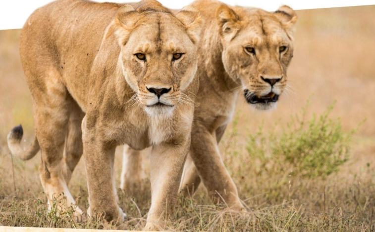 202512151402-6673778283.png image.png