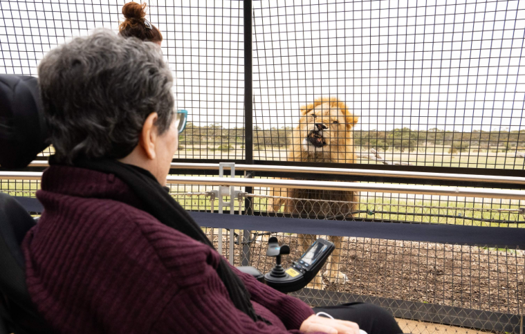 202512151403-6613831875.png image.png