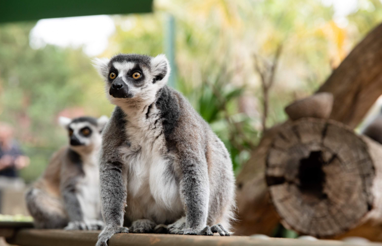 202512151535-3971031978.png image.png